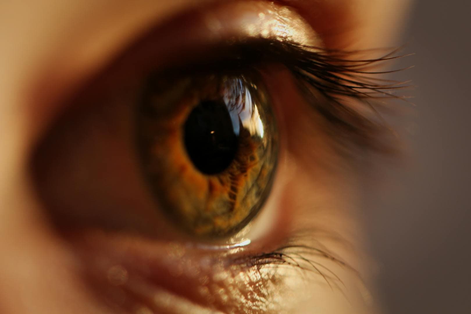 Detailed macro photograph of a human eye